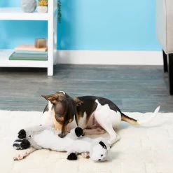 Frisco Raccoon Skinny Plush Squeaky Dog Toy -Frisco 147045 PT1. AC SS1800 V1539205362