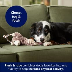 Frisco Monkey Plush With Rope Squeaky Dog Toy -Frisco 147067 PT4. AC SS1800 V1686079871