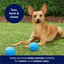 Frisco Foam Rubber Floating Fetch Ball No Squeak Dog Toy -Frisco 152798 PT4. AC SS1800 V1686579140