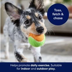 Frisco Fetch Squeaking Colorful Tennis Ball Dog Toy -Frisco 152846 PT3. AC SS1800 V1691776635