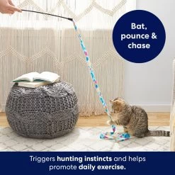 Frisco Fabric Teaser Wand Cat Toy -Frisco 161196 PT5. AC SS1800 V1691783969