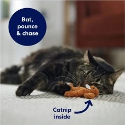 Frisco Squirrel Plush Cat Toy With Refillable Catnip -Frisco 161271 PT3. AC SS1800 V1678723897