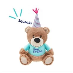 Frisco Birthday Bear Plush Squeaky Dog Toy -Frisco 162836 PT2. AC SS1800 V1695659146