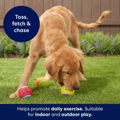 Frisco Birthday Fetch Squeaky Tennis Ball Dog Toy 10 Frisco Birthday Fetch Squeaky Tennis Ball Dog Toy -Frisco 162914 PT3. AC SS1800 V1692019914