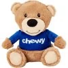 Frisco Chewy Bear Plush Squeaky Dog Toy