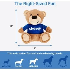 Frisco Chewy Bear Plush Squeaky Dog Toy -Frisco 164312 PT1. AC SS1800 V1602685578