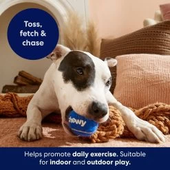Frisco Chewy Fetch Squeaky Tennis Ball Dog Toy -Frisco 164314 PT3. AC SS1800 V1691783970