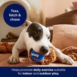 Frisco Chewy Fetch Squeaky Tennis Ball Dog Toy -Frisco 164314 PT5. AC SS1800 V1691783910