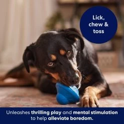 Frisco Flying Saucer Rubber Treat Dispenser Dog Toy -Frisco 164757 PT5. AC SS1800 V1691784247