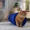 Frisco Foldable Play Tunnel With Mesh Cat Toy