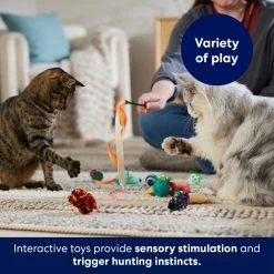 Frisco Plush, Teaser & Ball Variety Pack Cat Toy With Catnip 8 Frisco Plush, Teaser & Ball Variety Pack Cat Toy With Catnip -Frisco 169686 PT5. AC SS1800 V1691783971