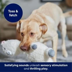 Frisco Llama Bobberz Plush Squeaky Dog Toy 10 Frisco Llama Bobberz Plush Squeaky Dog Toy -Frisco 174741 PT4. AC SS1800 V1695671063