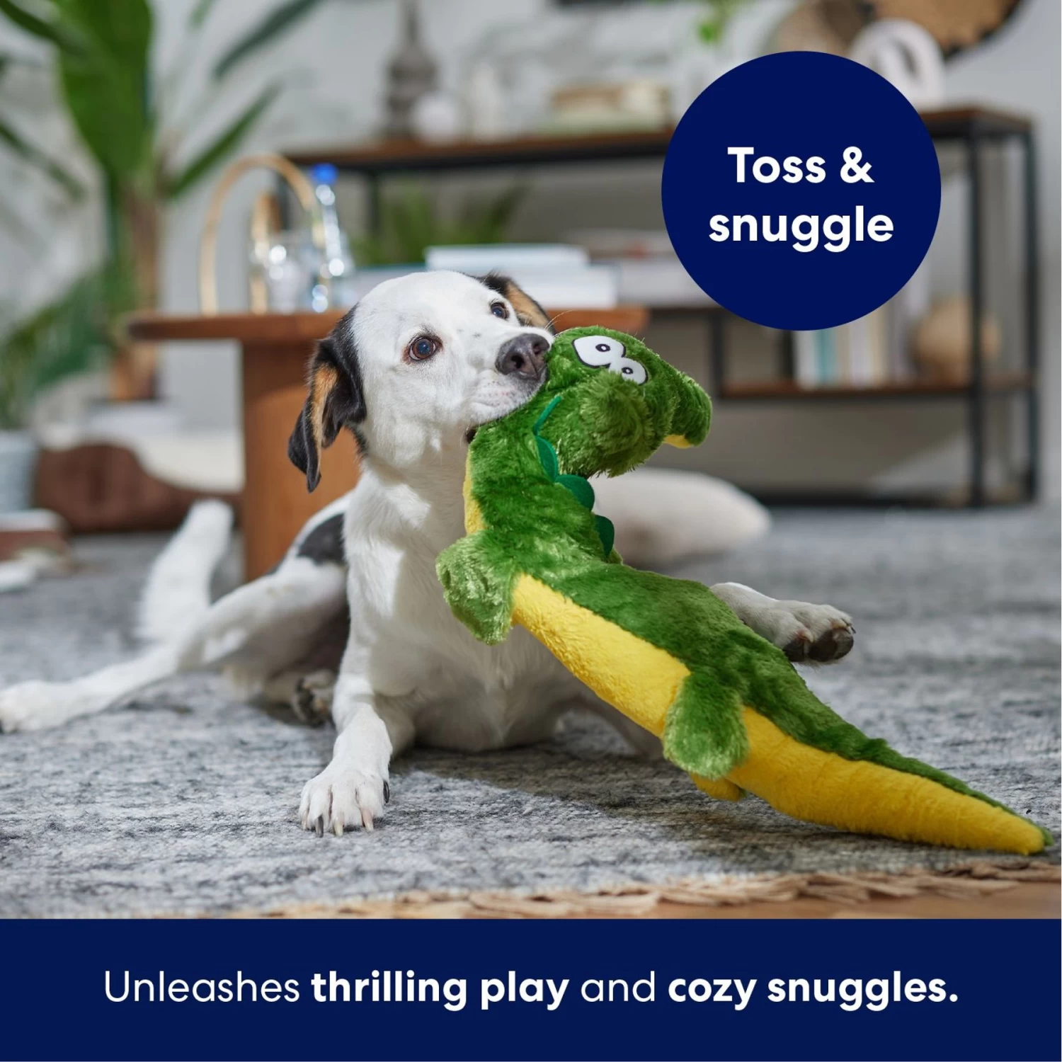 Frisco Alligator Wagazoo Plush Squeaky Dog Toy 5 Frisco Alligator Wagazoo Plush Squeaky Dog Toy - Image 5