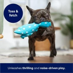 Frisco Dinosaur Latex Squeaky Dog Toy -Frisco 174770 PT3. AC SS1800 V1686579138