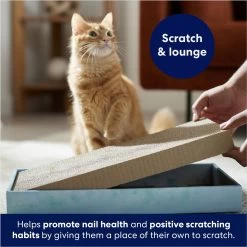 Frisco Double-Wide Cat Scratcher Toy Refill With Catnip, 2 Count 6 Frisco Double-Wide Cat Scratcher Toy Refill With Catnip, 2 Count -Frisco 174800 PT3. AC SS1800 V1678723850