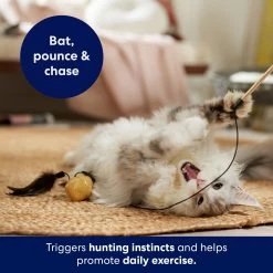 Frisco Sparkle Ball Teaser Wand Cat Toy With Catnip 8 Frisco Sparkle Ball Teaser Wand Cat Toy With Catnip -Frisco 183254 PT3. AC SS1800 V1695241915