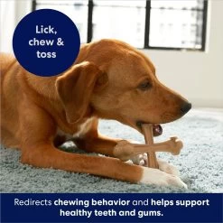 Frisco Peanut Butter Flavor Tough Nylon Dog Chew Toy -Frisco 213436 PT5. AC SS1800 V1692019972