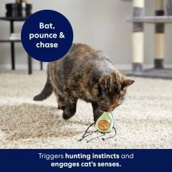 Frisco Dangly Avocado Buddy Plush Cat Toy With Catnip 8 Frisco Dangly Avocado Buddy Plush Cat Toy With Catnip -Frisco 213846 PT5. AC SS1800 V1691784029