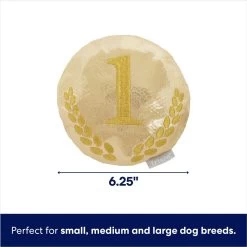 Frisco Gold Medal Round Plush Squeaky Dog Toy -Frisco 214082 PT1. AC SS1800 V1677856101