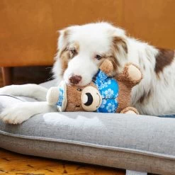 Frisco Summer Fun Plush Bear Squeaky Dog Toy -Frisco 214659 PT6. AC SS1800 V1597596384