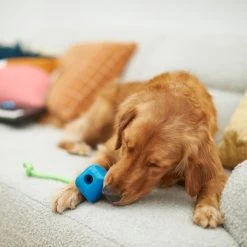 Frisco Retro PC Mouse Rubber Tug & Fetch Dog Toy -Frisco 230385 PT3. AC SS1800 V1606953426