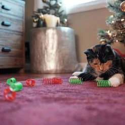 Frisco Holiday Springs Cat Toy, 10 Count 6 Frisco Holiday Springs Cat Toy, 10 Count -Frisco 233307 PT2. AC SS1800 V1602172363