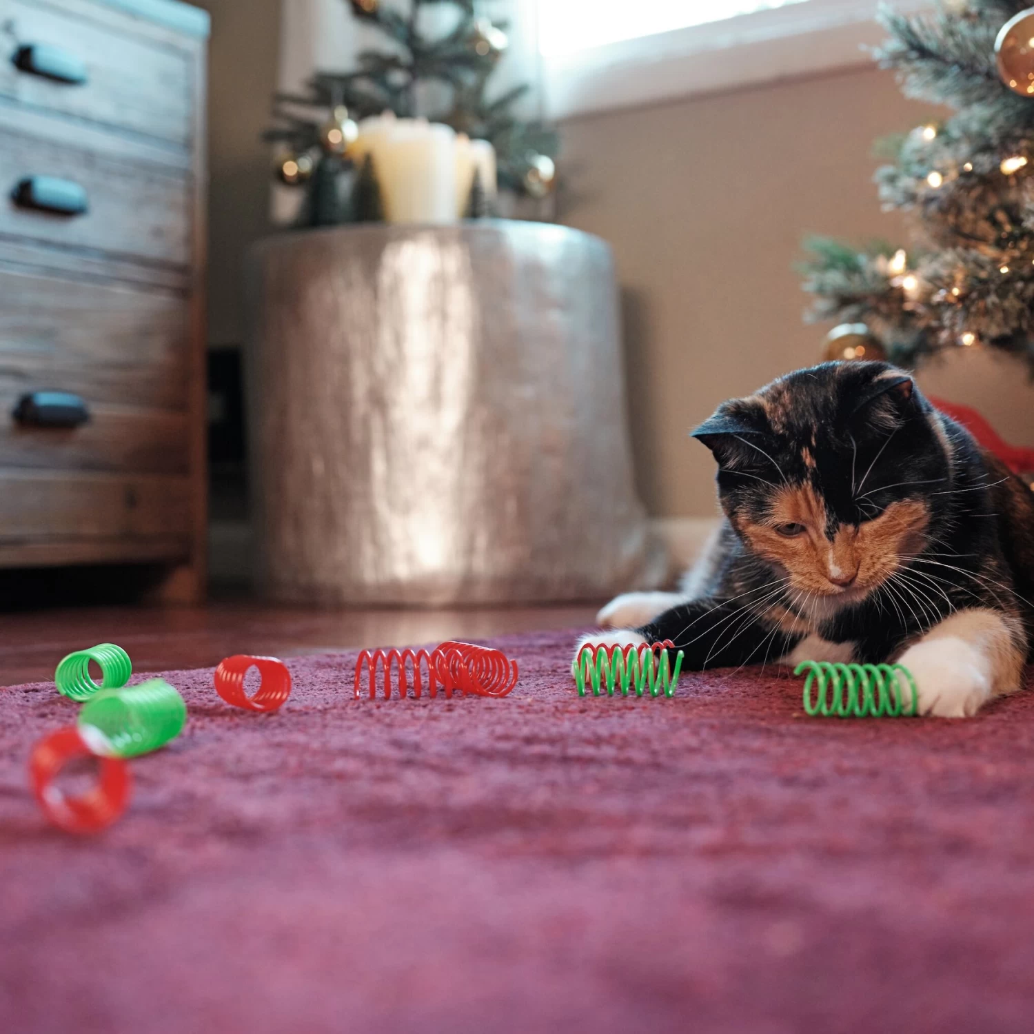 Frisco Holiday Springs Cat Toy, 10 Count 3 Frisco Holiday Springs Cat Toy, 10 Count - Image 3