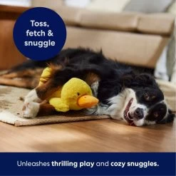 Frisco Duck Plush Squeaky Dog Toy 10 Frisco Duck Plush Squeaky Dog Toy -Frisco 233613 PT4. AC SS1800 V1695670688