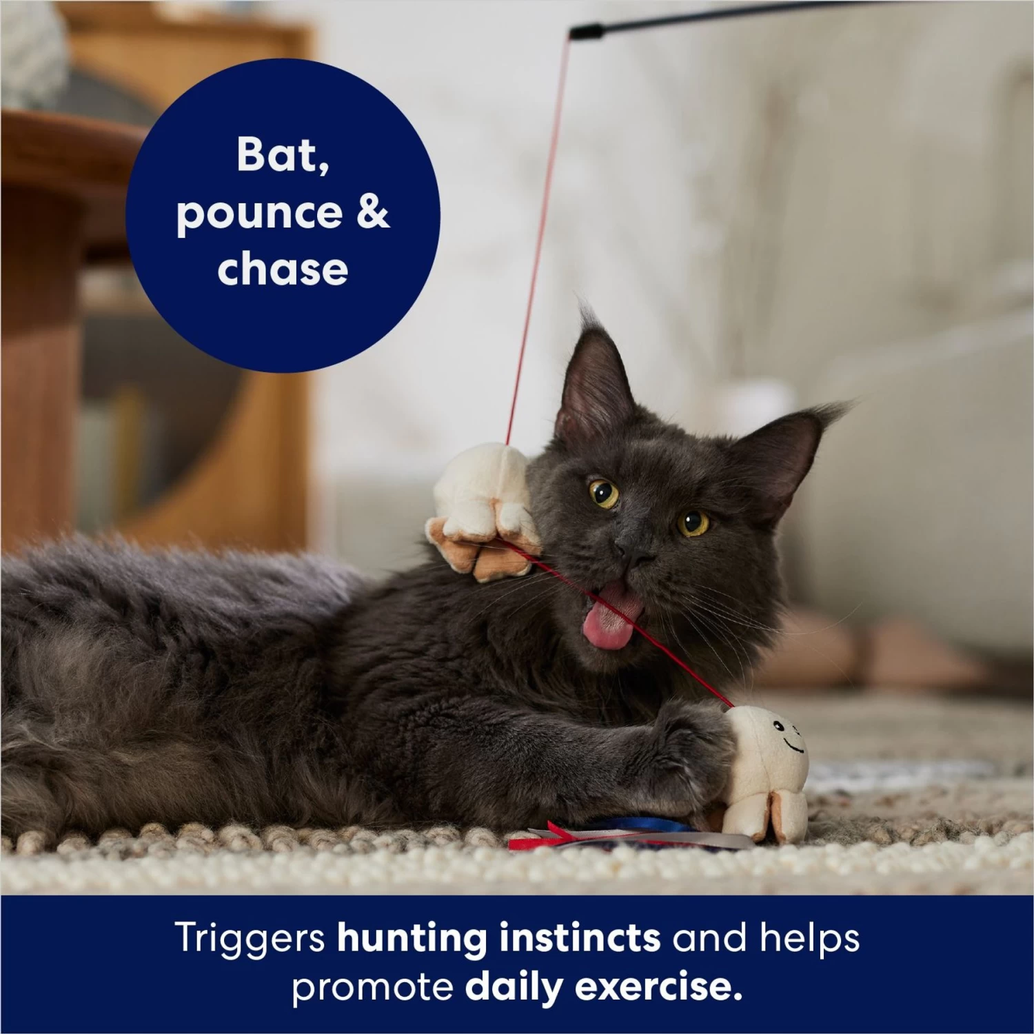 Frisco Zoomies & Chill Popcorn Teaser Wand Cat Toy With Catnip 4 Frisco Zoomies & Chill Popcorn Teaser Wand Cat Toy With Catnip - Image 4