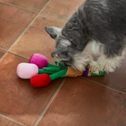 Frisco Valentine Rose Bouquet Plush Squeaky Dog Toy -Frisco 241733 PT6. AC SS1800 V1607990908