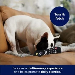 Frisco Zoomies & Chill Remote Latex Squeaky Dog Toy -Frisco 241753 PT6. AC SS1800 V1686580150
