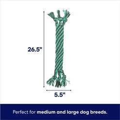 Frisco Flat Teal & Gray Braided Rope Squeaky Fetch Dog Toy -Frisco 242127 PT1. AC SS1800 V1695748353