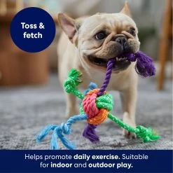 Frisco Fetch Colorful Ball Knot Rope Dog Toy -Frisco 242159 PT3. AC SS1800 V1695242179