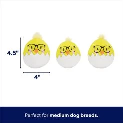 Frisco Spring Easter Egg Hide & Seek Plush Squeaky Dog Toy -Frisco 248037 PT2. AC SS1800 V1700243718