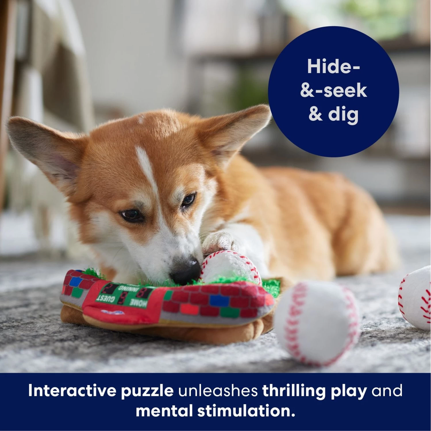 Frisco Baseball Hide & Seek Puzzle Plush Squeaky Dog Toy 6 Frisco Baseball Hide & Seek Puzzle Plush Squeaky Dog Toy - Image 6