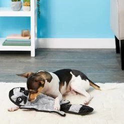 Frisco Alligator Stuffing-Free Flat Plush Squeaky Dog Toy & Frisco Raccoon Stuffing-Free Flat Plush Squeaky Dog Toy -Frisco 255471 PT4. AC SS1800 V1602691287