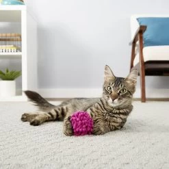Frisco Moppy Ball Cat Toy With Catnip & Frisco Moppy Ball Cat Toy With Catnip -Frisco 255585 PT4. AC SS1800 V1602691598