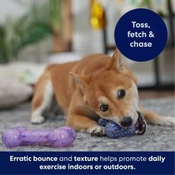 Frisco Birthday TPR Fetch Bone Squeaky Dog Toy -Frisco 264422 PT4. AC SS1800 V1695760988