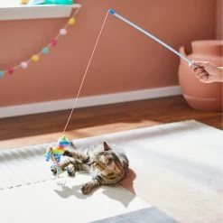 Frisco Pinata Teaser Wand Cat Toy With Catnip -Frisco 264446 PT3. AC SS1800 V1618948636