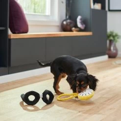 Frisco Magic Pocket Watch & Glasses Plush Squeaky Dog Toy, 2 Count -Frisco 265590 PT3. AC SS1800 V1620938935