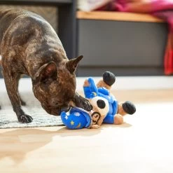 Frisco Magic Wizard Bear Plush Squeaky Dog Toy -Frisco 265604 PT3. AC SS1800 V1623352109