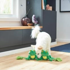 Frisco Magic Frog Plush With Rope Squeaky Dog Toy -Frisco 265606 PT3. AC SS1800 V1620938889