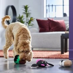 Frisco Halloween Cupcakes Plush Squeaky Dog Toy -Frisco 270367 PT3. AC SS1800 V1624817674