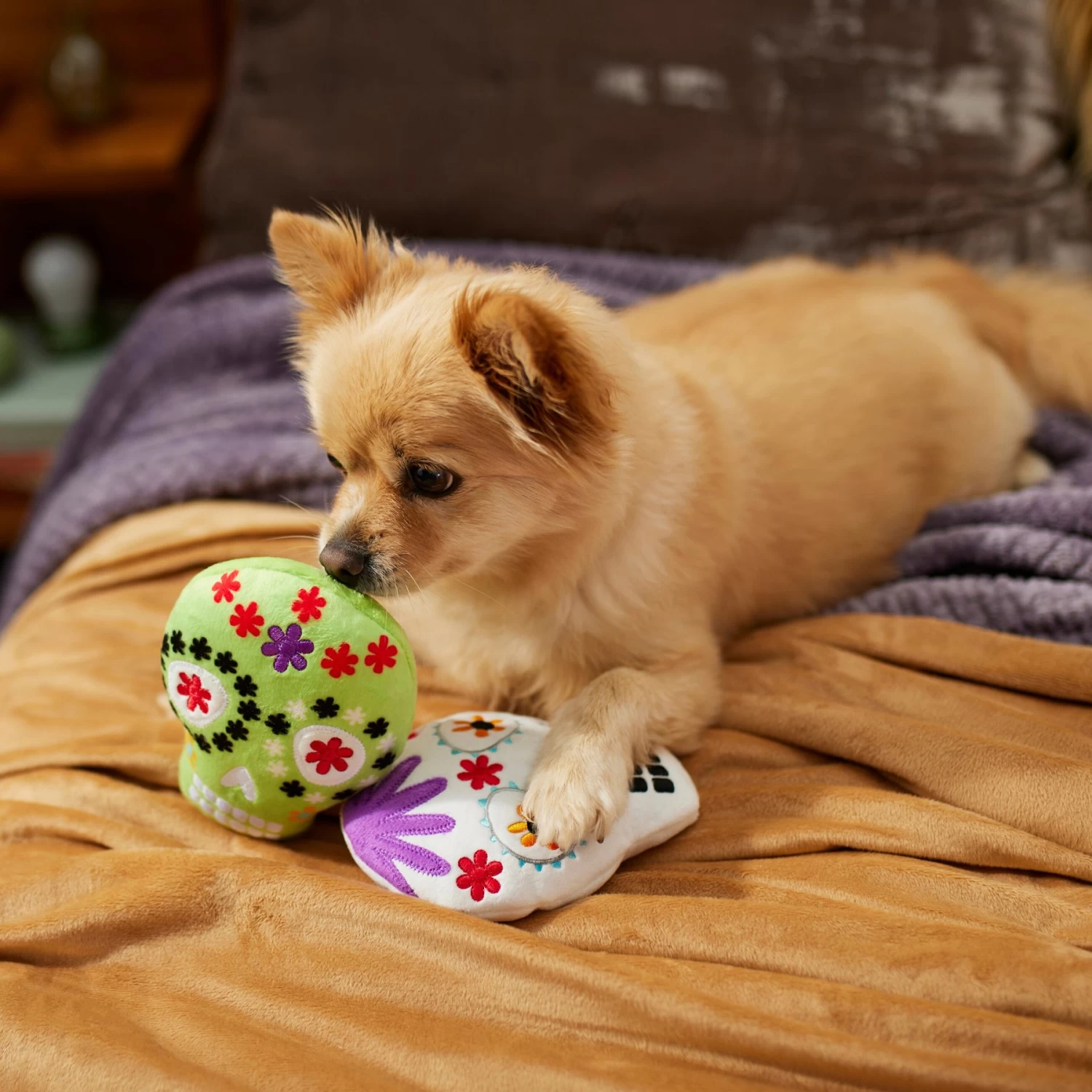 Frisco Halloween Day Of The Dead Sugar Skull Plush Squeaky Dog Toy, 2 Count 3 Frisco Halloween Day Of The Dead Sugar Skull Plush Squeaky Dog Toy, 2 Count - Image 3