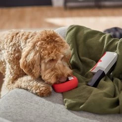 Frisco Halloween Vampire Teeth & Knife Latex Squeaky Dog Toy -Frisco 270512 PT3. AC SS1800 V1624817093