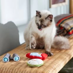 Frisco Camping Compass & Lantern Plush Cat Toy With Catnip, 2 Count -Frisco 270985 PT3. AC SS1800 V1625009053