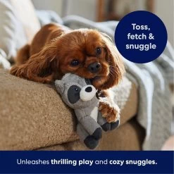 Frisco Camping Raccoon Plush Squeaky Dog Toy -Frisco 271003 PT4. AC SS1800 V1695670777
