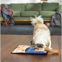 Frisco Camping Smores & Sleeping Bag Flat Plush Squeaky Dog Toy, 2 Count -Frisco 271018 PT3. AC SS1800 V1625009010