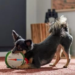 Frisco Camping Compass Plush With Rope Squeaky Dog Toy -Frisco 271020 PT3. AC SS1800 V1625008965