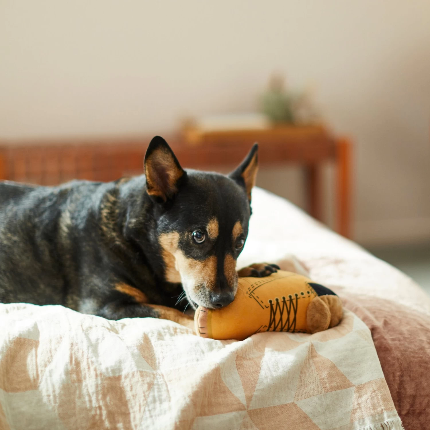 Frisco Fall Boot Plush Squeaky Dog Toy 3 Frisco Fall Boot Plush Squeaky Dog Toy - Image 3